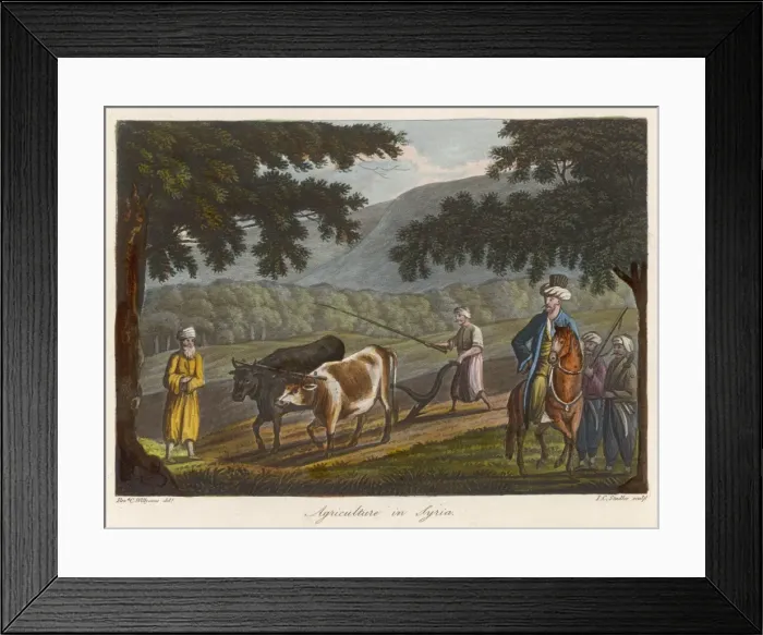 Framed Print : Plowing in Syria Framed Print : Plowing in Syria