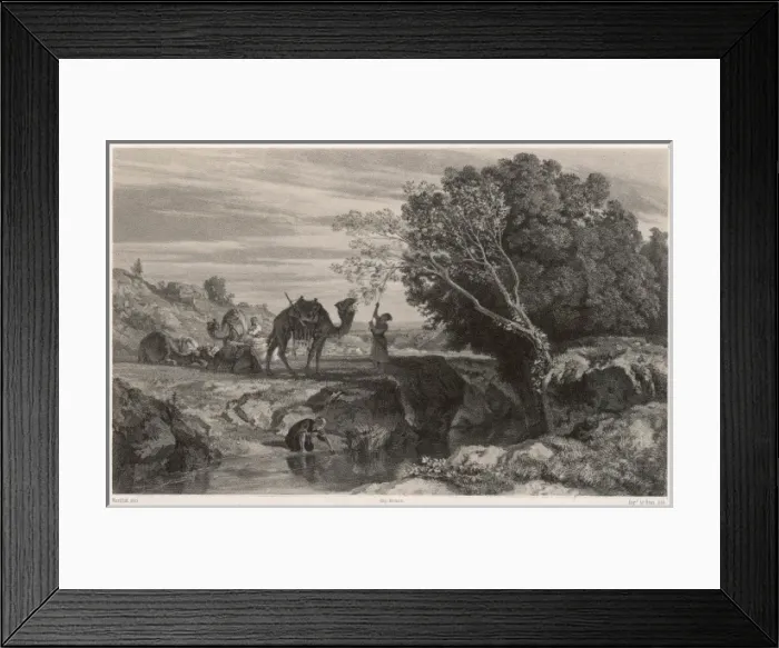Framed Print : Feeding a Camel Framed Print : Feeding a Camel