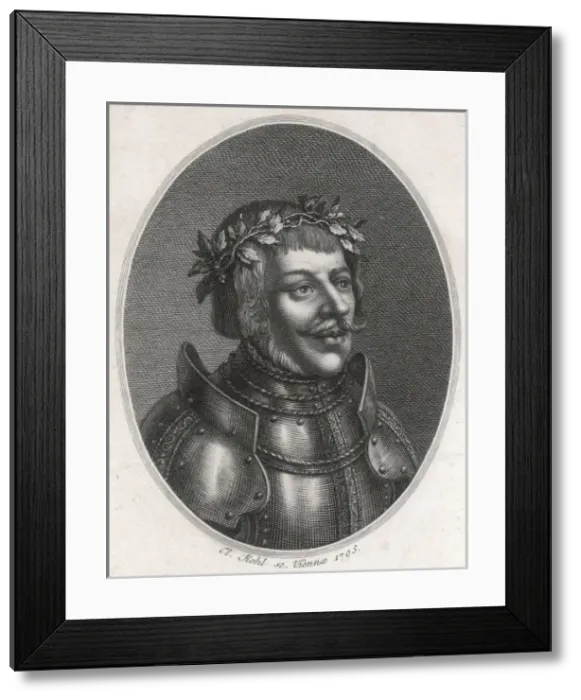 Framed Print : Ulrich Von Hutten Framed Print : Ulrich Von Hutten