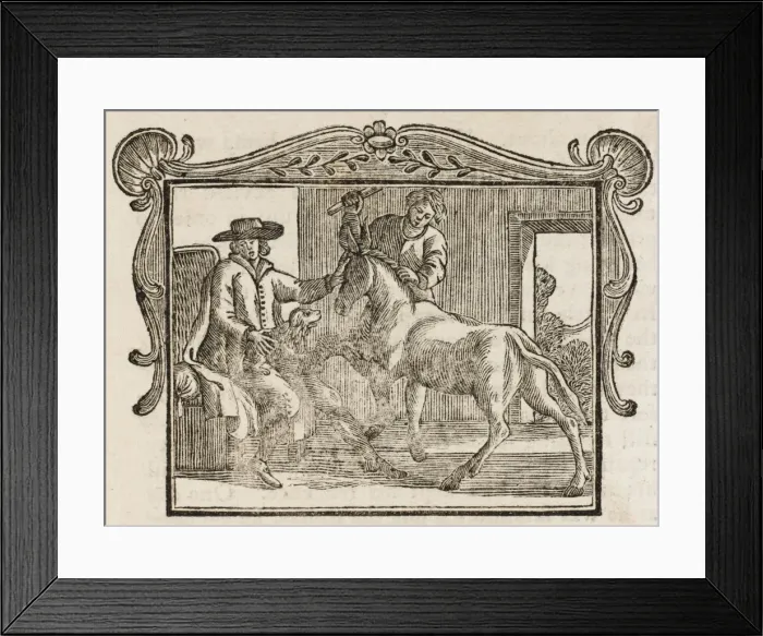 Framed Print : The Ass and the Lap-Dog Framed Print : The Ass and the Lap-Dog