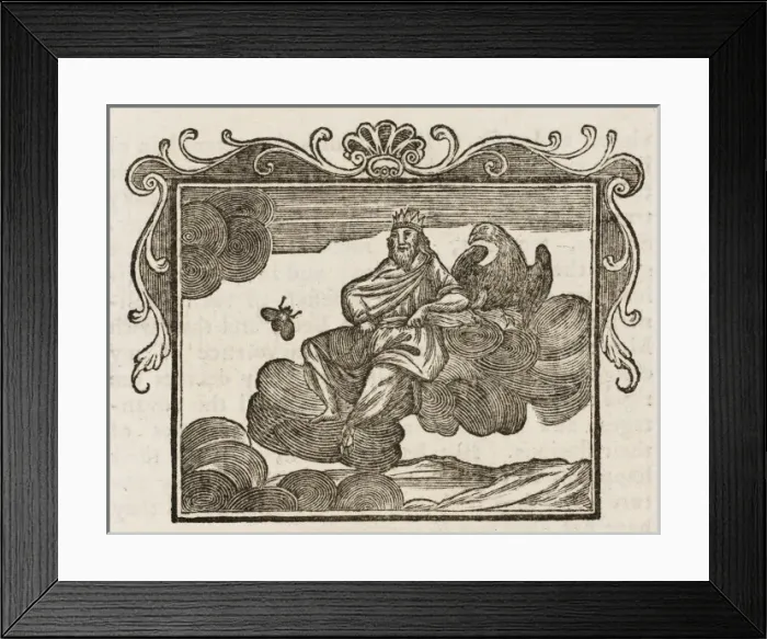 Framed Print : Fable / Discontented Bee Framed Print : Fable / Discontented Bee