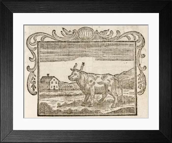 Framed Print : Fable / Bull and Gnat Framed Print : Fable / Bull and Gnat
