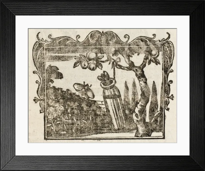 Framed Print : Fable / the Two Bees Framed Print : Fable / the Two Bees