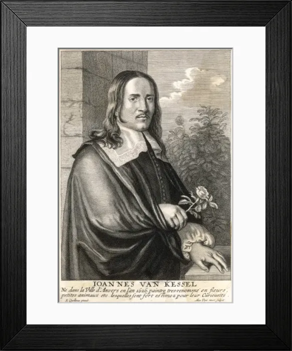 Framed Print : Jan Van Kessel Framed Print : Jan Van Kessel