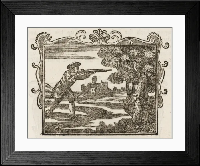Framed Print : Fable / Dove and Ant Framed Print : Fable / Dove and Ant