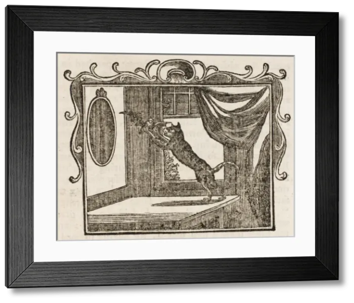 Framed Print : Fable / Cat and Bat Framed Print : Fable / Cat and Bat