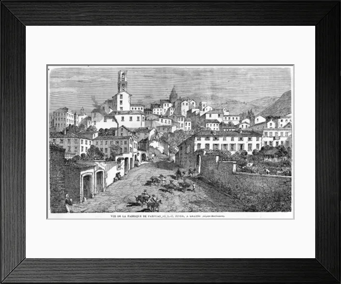 Framed Print : France Grasse Framed Print : France Grasse