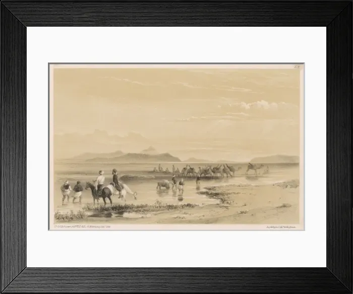 Framed Print : Watering Camels Framed Print : Watering Camels