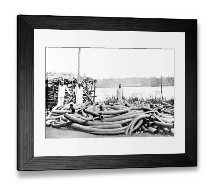 Framed Print : Tippoo Tibs Ivory Store at Stanley Falls, Lualaba River, c Framed Print : Tippoo Tibs Ivory Store at Stanley Falls, Lualaba River, c