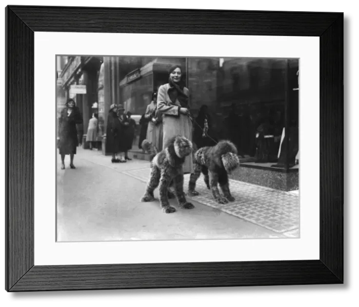 Framed Print : SOCIETYs NEW PETS Framed Print : SOCIETYs NEW PETS