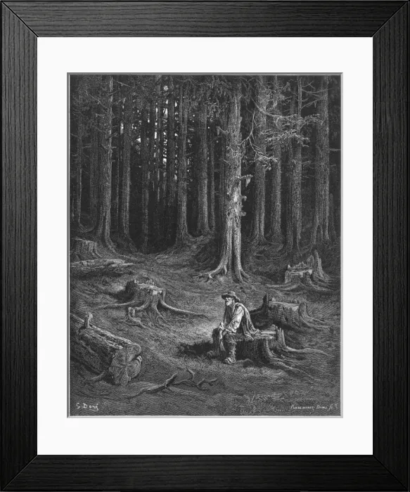Framed Print : The Woods & the Woodman Framed Print : The Woods & the Woodman