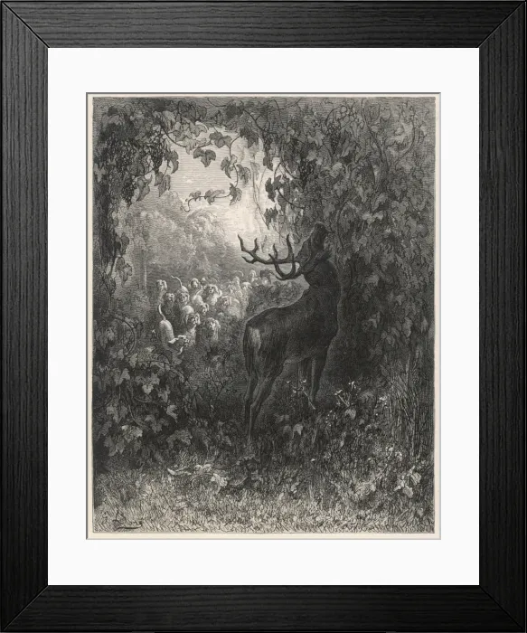 Framed Print : The Stag and the Vine Framed Print : The Stag and the Vine