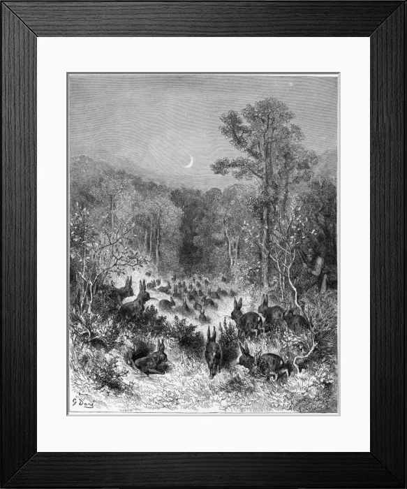 Framed Print : Fable / the Rabbits Framed Print : Fable / the Rabbits