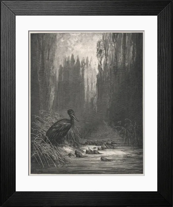 Framed Print : The Fish & the Cormorant Framed Print : The Fish & the Cormorant