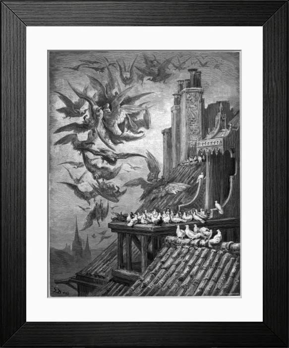 Framed Print : The Vultures & Pigeons Framed Print : The Vultures & Pigeons