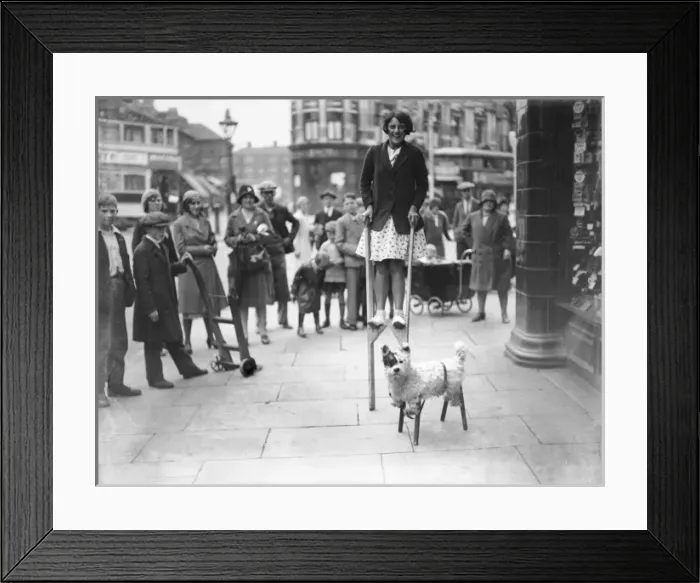 Framed Print : Dog on Stilts Framed Print : Dog on Stilts