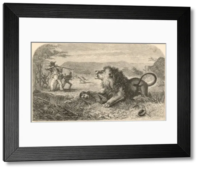 Framed Print : Livingstone and Lion Framed Print : Livingstone and Lion