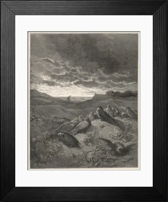 Framed Print : Swallow & Little Birds Framed Print : Swallow & Little Birds