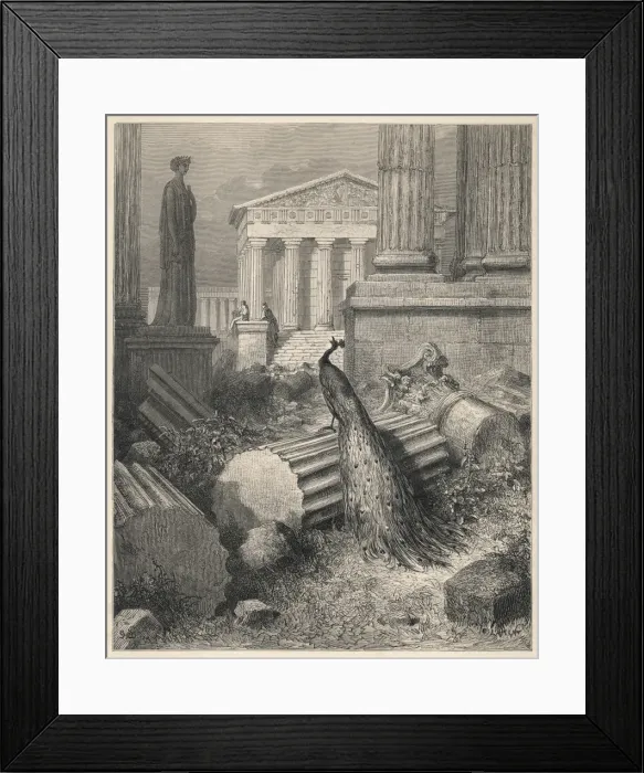 Framed Print : Juno and the Peacock Framed Print : Juno and the Peacock