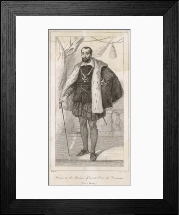 Framed Print : Francesco De Medici Framed Print : Francesco De Medici