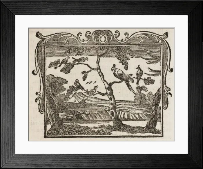 Framed Print : Fable / the Mock-Bird Framed Print : Fable / the Mock-Bird