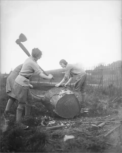 Female Lumberjacks