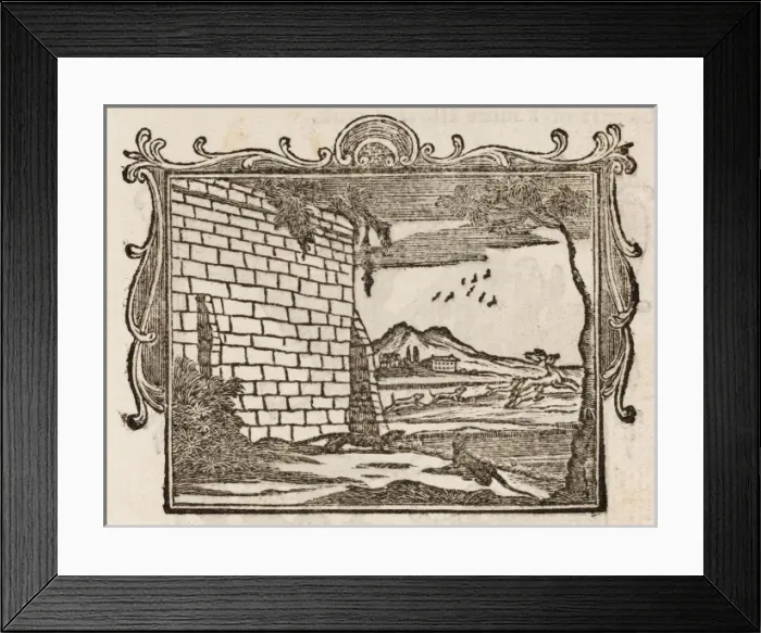 Framed Print : Fable / Two Lizards Framed Print : Fable / Two Lizards