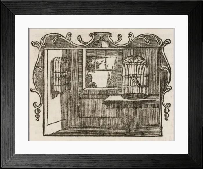 Framed Print : Nightingale & Bullfinch Framed Print : Nightingale & Bullfinch