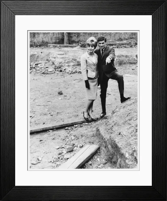 Framed Print : Looking to Build a House Framed Print : Looking to Build a House