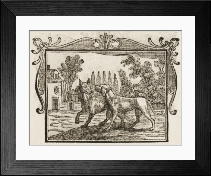 Framed Print : The Wolf & the Mastiff Framed Print : The Wolf & the Mastiff