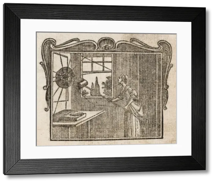 Framed Print : The Spider & Silkworm Framed Print : The Spider & Silkworm