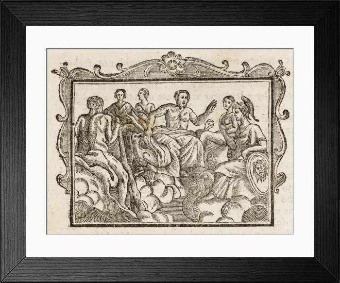 Framed Print : Fable / Minervas Olive Framed Print : Fable / Minervas Olive