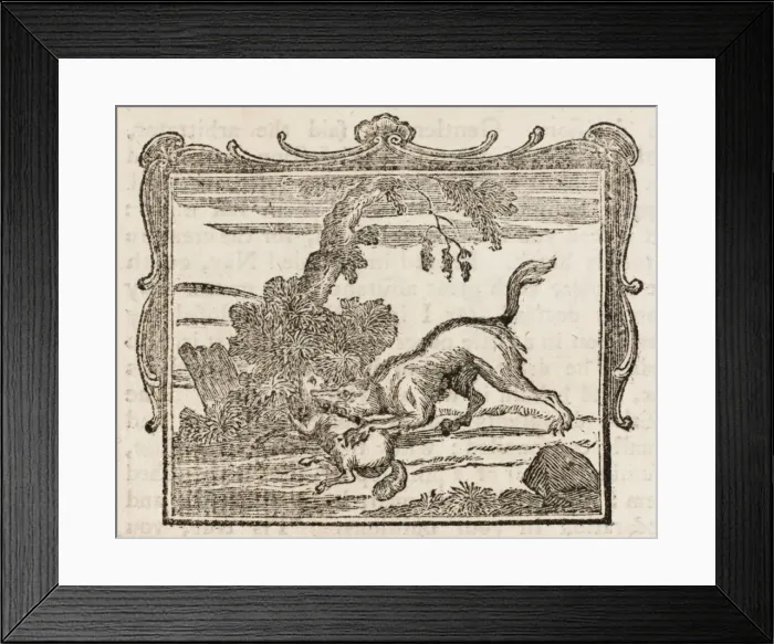 Framed Print : The Wolf & the Lamb Framed Print : The Wolf & the Lamb