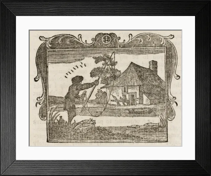 Framed Print : Fable / Trouts & Gudgeon Framed Print : Fable / Trouts & Gudgeon