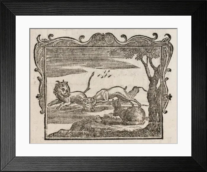 Framed Print : Fable / Ears of the Hare Framed Print : Fable / Ears of the Hare