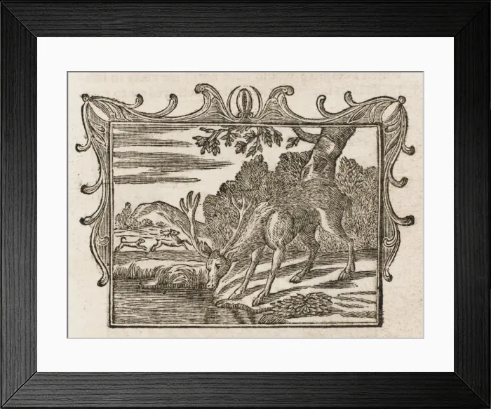 Framed Print : The Stag Seeing Himself Framed Print : The Stag Seeing Himself