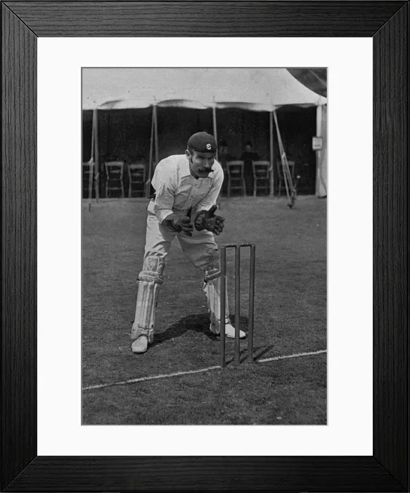 Framed Print : Cricketer, Wood Framed Print : Cricketer, Wood