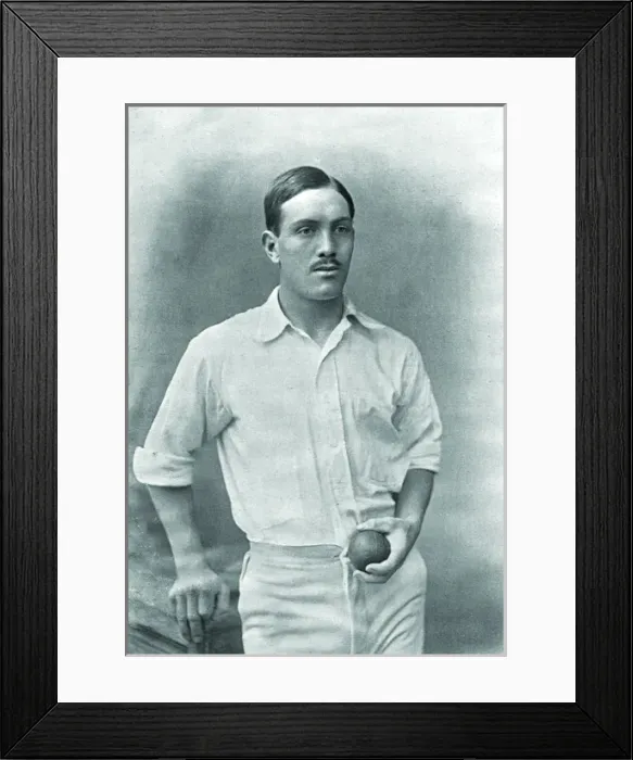Framed Print : Cricketer, Brown Framed Print : Cricketer, Brown