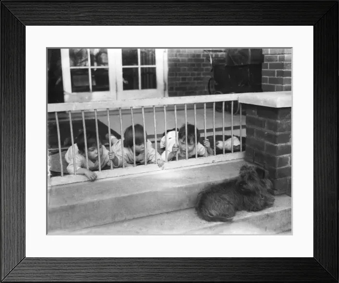 Framed Print : Dog in a Creche Framed Print : Dog in a Creche