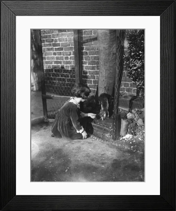 Framed Print : Rescued Squirrel 1932 Framed Print : Rescued Squirrel 1932