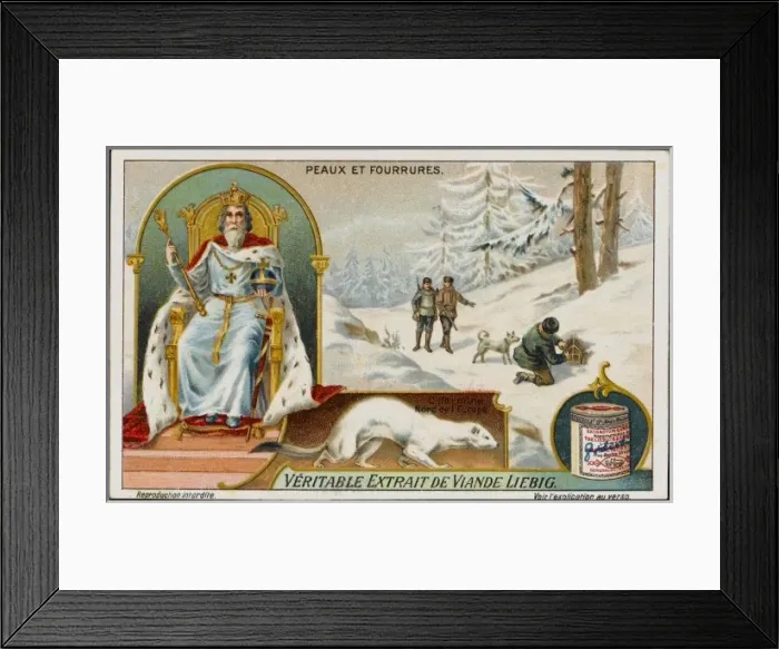 Framed Print : Fur / Ermine Framed Print : Fur / Ermine