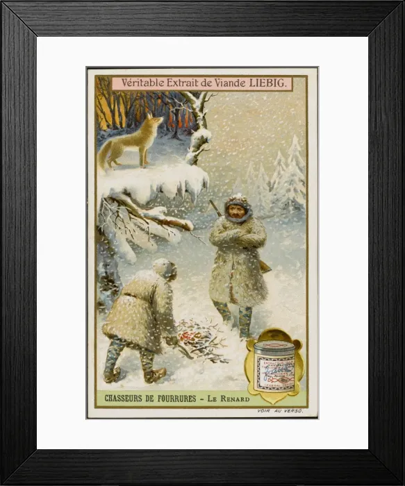 Framed Print : Fur Hunting - Fox Framed Print : Fur Hunting - Fox