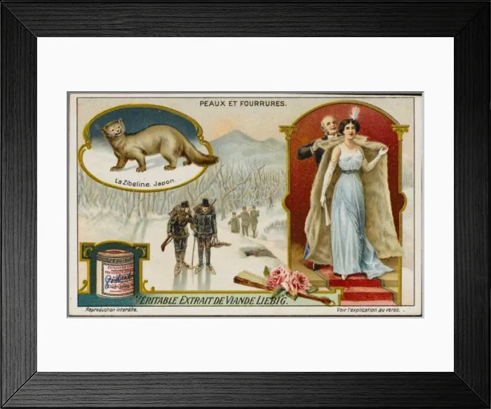 Framed Print : Fur / Sable Framed Print : Fur / Sable