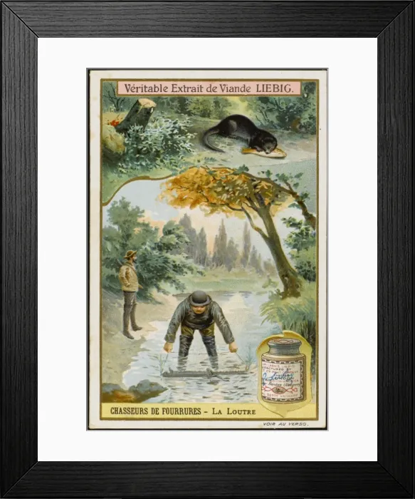 Framed Print : Fur - Otter Hunting Framed Print : Fur - Otter Hunting