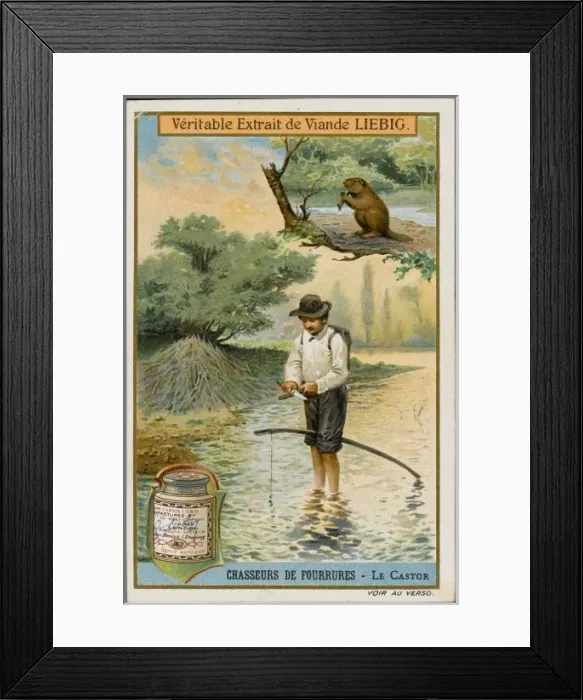 Framed Print : Fur - Beaver Hunting Framed Print : Fur - Beaver Hunting