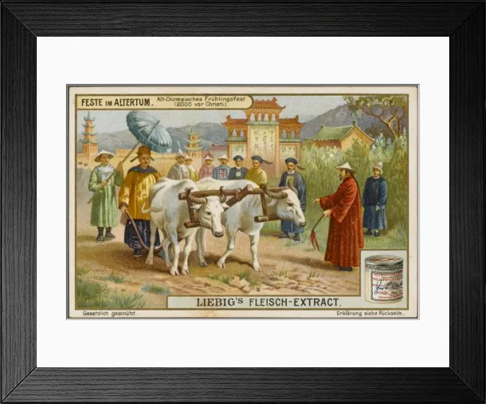 Framed Print : Chinese Spring Festival Framed Print : Chinese Spring Festival