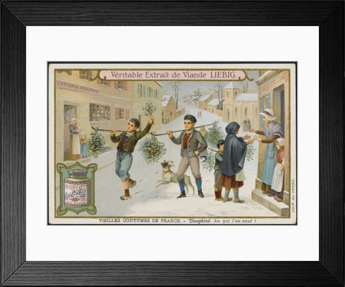 Framed Print : New Year Mistletoe Framed Print : New Year Mistletoe