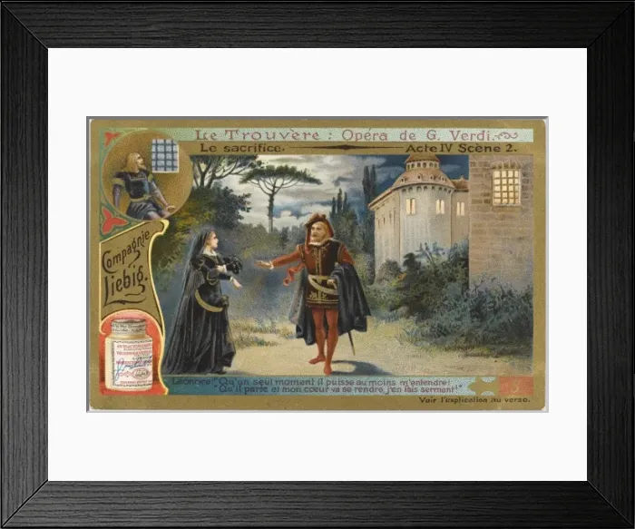 Framed Print : Trovatore - 5 Framed Print : Trovatore - 5