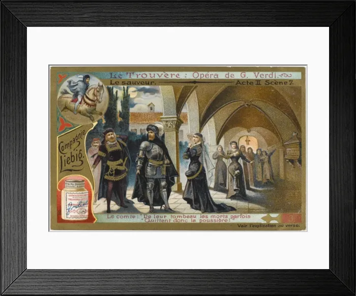 Framed Print : Trovatore - 2 Framed Print : Trovatore - 2