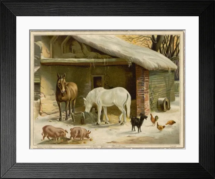 Framed Print : Animals Keeping Warm Framed Print : Animals Keeping Warm